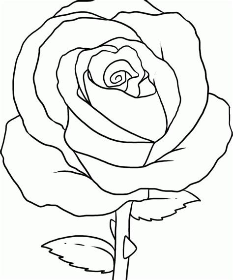coloring pages rose coloring home