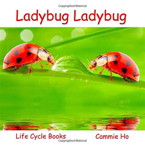 book review  ladybug ladybug readers favorite book reviews