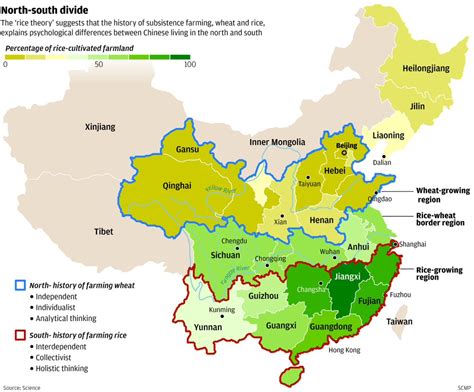 rice  wheat production  china vivid maps