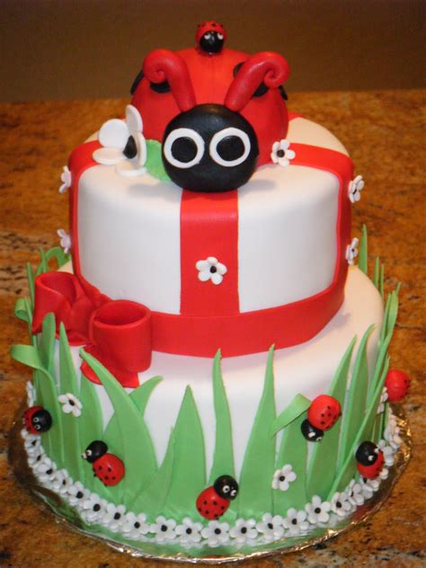 cassys cakes ladybug cake