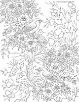 Erwachsene Vogel Malvorlage Mit Ausmalen Leicht Zum Vögel Kostenlose Basteln sketch template