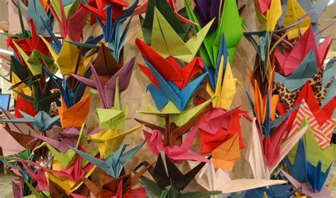 thousand origami cranes  peace  display  florida techs