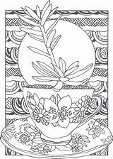 Succulent sketch template