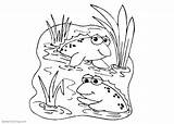 Pond Coloring Pages Frogs Two Printable Kids Adults sketch template