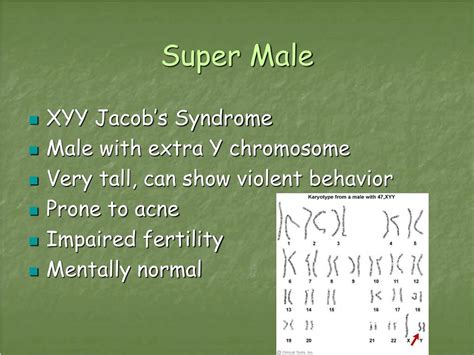 ppt genetic disorders powerpoint presentation free