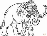 Mammoth Coloring Pages Woolly Sheet Age Clipart Ice Mamoth Baby Mammut Colouring Printable Mastodon Gif Drawings Template Clip Sketch sketch template