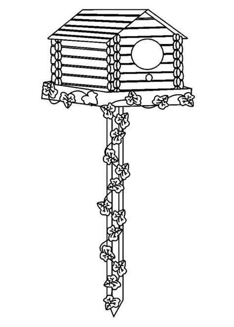 bird house picture coloring pages  place  color coloring