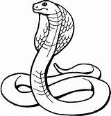 Coloring Pages Snake Cool Print Kids sketch template