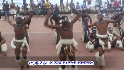dopest zulu indlamu traditional dance moves zebras youtube