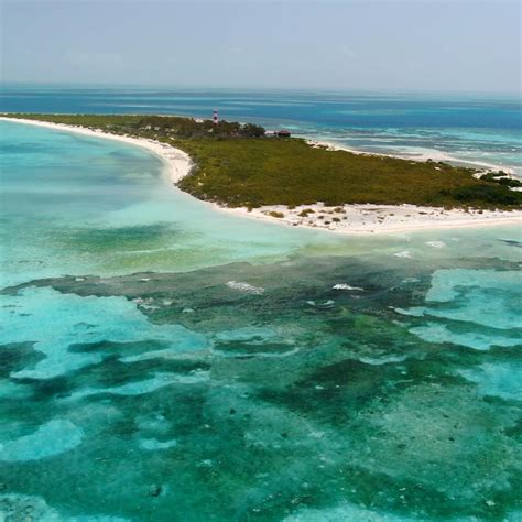 arrecife alacranes joya imperdible de yucatan