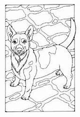 Dogs Colour sketch template