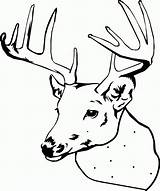 Deer Coloring Pages Head Elk Buck Drawing Color Line Cartoon Printable Doe Simple Print Hunting Adult Book Christmas Sheet Baby sketch template