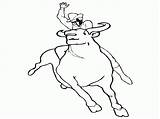 Bull Coloring Pages Riding Printable Bulls Drawing Chicago Bucking Ferdinand Color Matador Template Draw Getdrawings Sheet Cowboy Getcolorings Popular Realistic sketch template