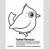 Titmouse Coloring Tufted 11kb 400px sketch template