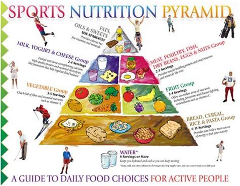 sports nutrition chart   include   diet