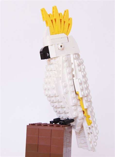 bird enthusiast creates lego birds   supporters  lego