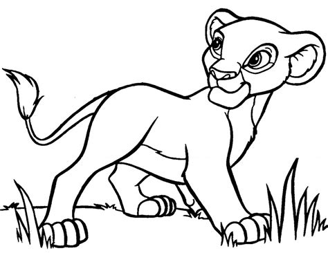 baby lion coloring pages animal place