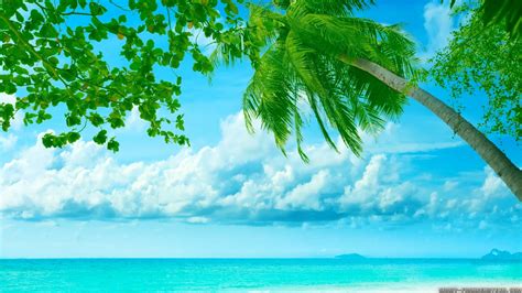 beautiful summer backgrounds  images