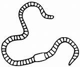 Earthworm Coloring sketch template