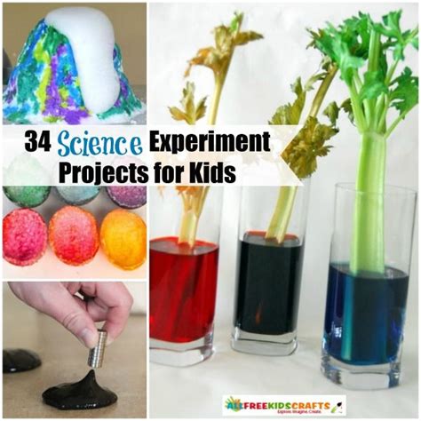 science experiment projects  kids science  kids science