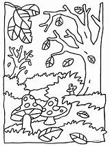 Herfst Paddestoel Paddestoelen Eekhoorn Toamna Maternelle Bos Coloriages Peisaje Dieren Colorat Desene Uitprinten Egel Peisaj Tekenen Downloaden Bezoeken Bosque sketch template