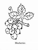 Coloring Blueberry Pages Blueberries Berry Printable Print Kids Colouring Drawing Color Mandala Sal Blue Bush Crafts Template Getdrawings Craft Popular sketch template