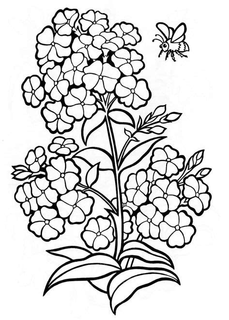 tropical flower coloring pages flower coloring pages tropical