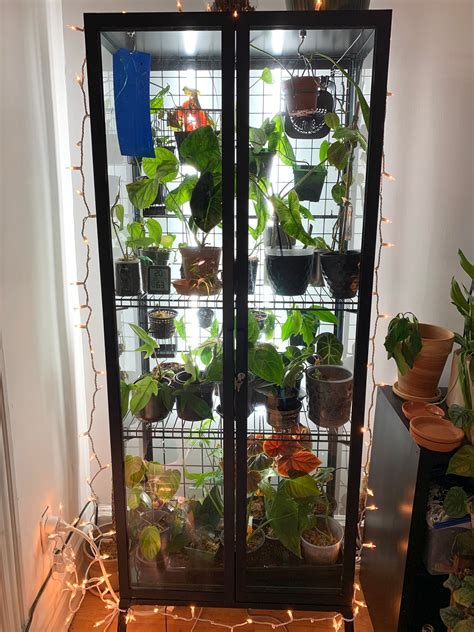 convert ikea milsbo cabinet  greenhouse ikea plants ikea greenhouse
