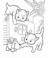 Coloring Kitten Puppy Library Clipart Playing sketch template