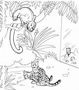 Maimuta Howler Zoo Monkeys Colorat Oz Planse Designlooter sketch template