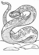 Snake Serpente Sonagli Rattlesnake Viper Snakes Rettili Animali sketch template