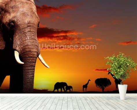 African Safari Wallpaper Wall Mural Wallsauce Uk