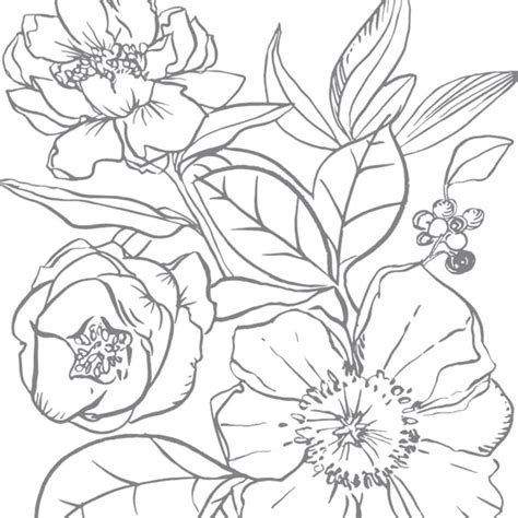 watercoloring page set flowers kristyricecom