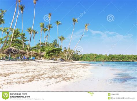 vacation in dominican republic editorial image image of