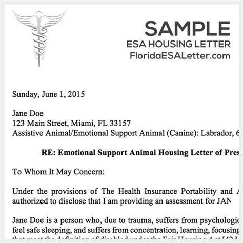 sample letter  therapy support animal doctors note   service