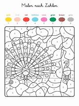 Zahlen Nach Ausmalen Numeros Pavo Pfau Erwachsene Malvorlagen Kinder Ausmalbilder Magique Kostenlose Erstaunlich Nummern Crayola Familie Muster Malbilder Vorschule Indianer sketch template
