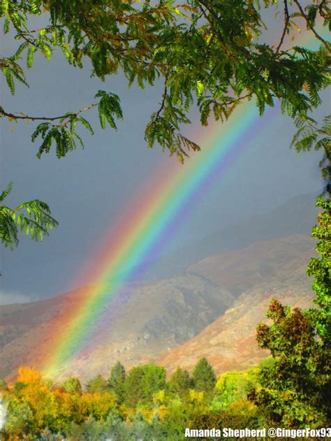 real rainbows images  pinterest