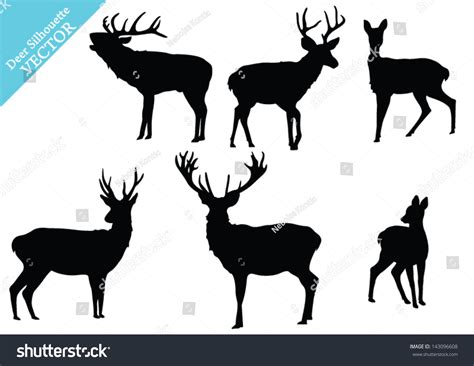 set deer silhouettes vector stock vector  shutterstock