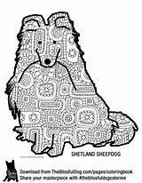Coloring Book Collie Border Pages Shetland Sheepdog Sheltie Dog Theblissfuldog Divyajanani sketch template