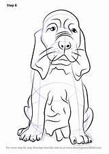 Bloodhound Coloring Drawingtutorials101 Puppies sketch template
