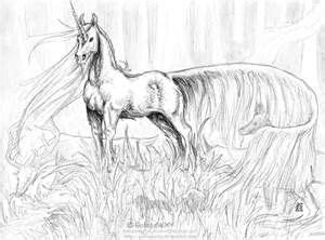 unicorn horse coloring pages unicorn coloring pages horse coloring