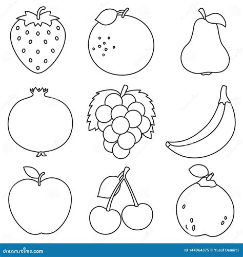 vector illustration  fruits coloring page stock vector illustration