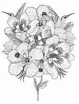 Blumen Erwachsene Malvorlagen Ausmalen Ausdrucken sketch template