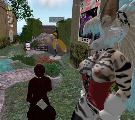 the virtual explorer what is a furry after all