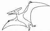 Pteranodon Pterodactyl Dinosaurs Spread Stitching Cross Coloringsun Drawings sketch template