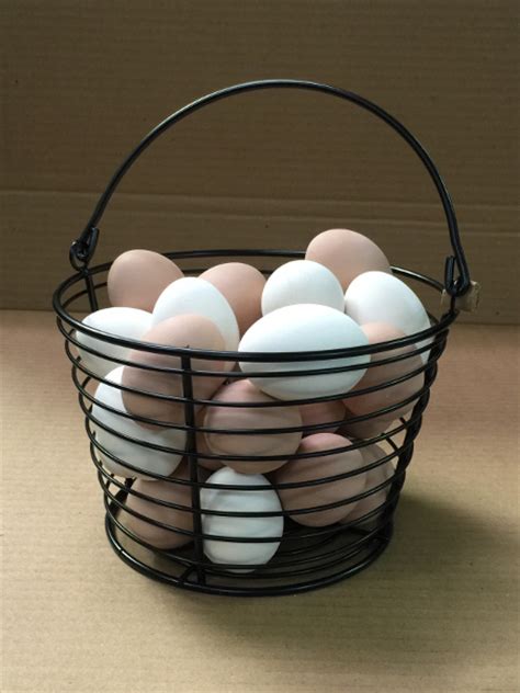murray mcmurray hatchery wire egg baskets