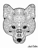 Fox Coloring Head Patterns Foxes Pages Adult Simple Animals sketch template