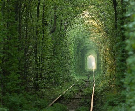 Hold Hands With A Sweetheart To Cross The Tunnel Of Love In Ukraine