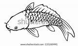 Coloring Carp Fish Painting Background Shutterstock Stock Search sketch template