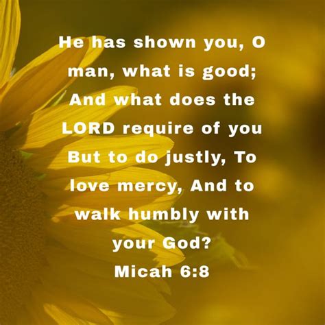 Micah 6 8 He Has Shown You O Man What Is Good And What Does The Lord
